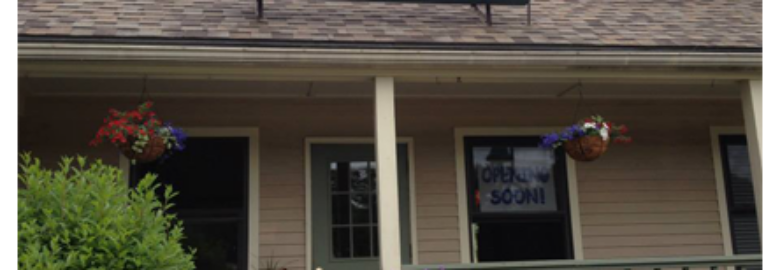 Winnipesaukee Bay Gulls