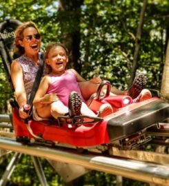 Gunstock Mountain Resort