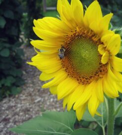 Prescott Farm Environmental Education Center